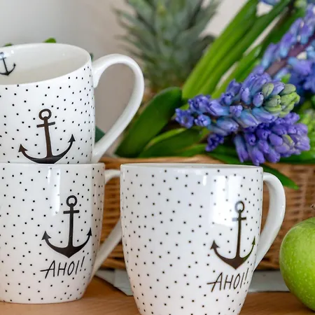 Daire Haus Carmen Sylva Syltkoerbchen Westerland